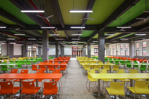 一切為了孩子，河北全面筑牢校園食品安全防線